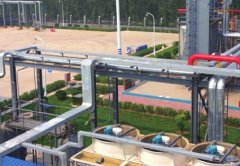 /guanzhuredian/1252.html